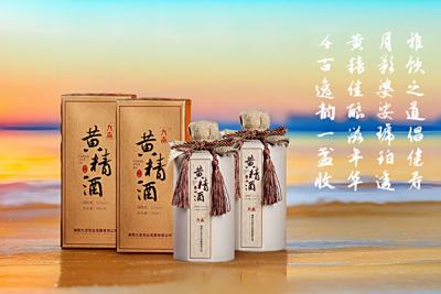 九志 ▪ 黄精酒 ， 人生须尽欢